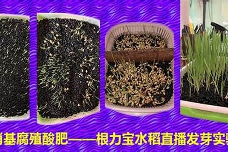 腐殖酸肥料的效果是什么？应该如何使用？