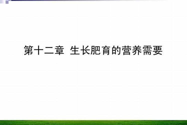 丝瓜的肥育秘诀：快速生长的营养动力