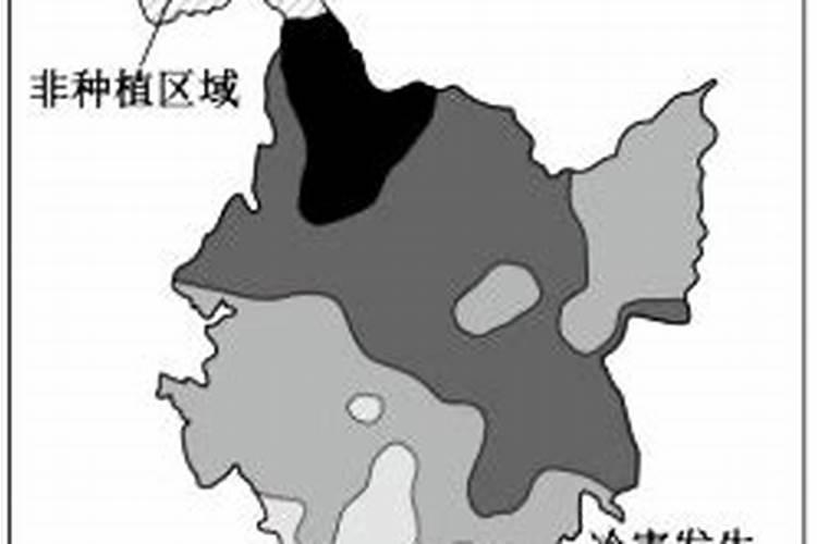 东北地区水稻冷害易发主要季节及原因