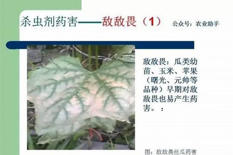 田间的隐形杀手：农药药害深度剖析