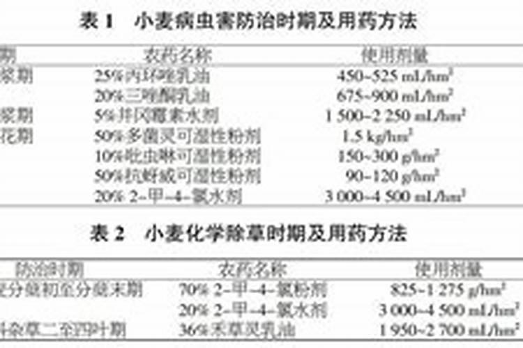 皖麦38的特征特性及高产栽培技术？