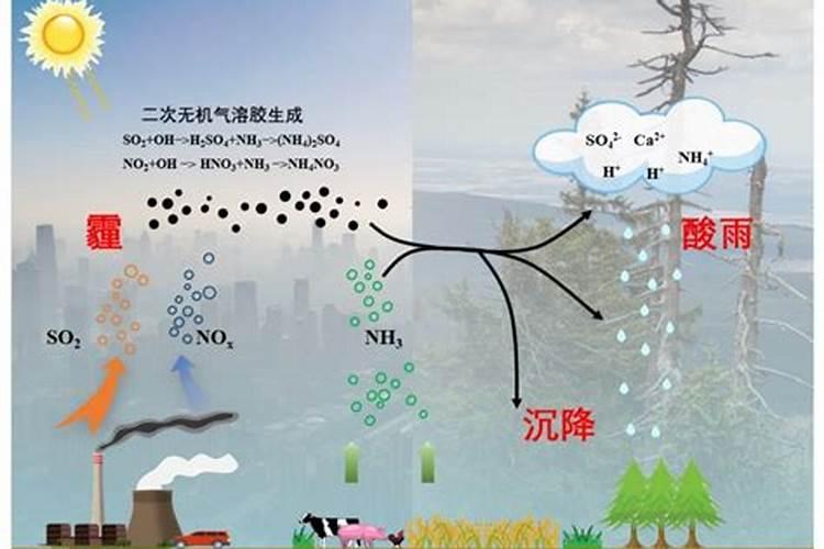 1亩林地能减排多少氨氮肥料含量？