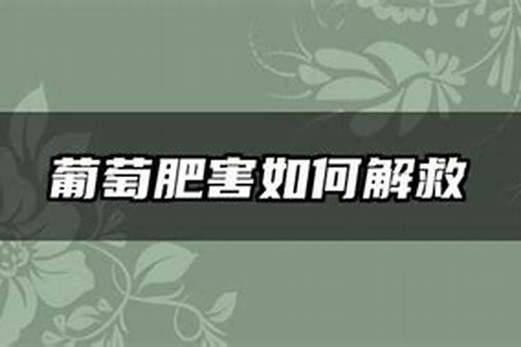 肥害的症状及解救方法