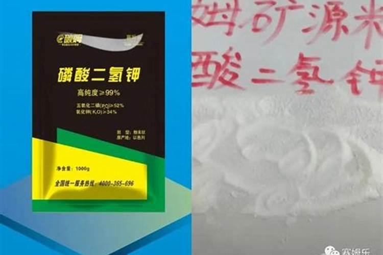 磷酸二氢钾严重过量喷施几天出现症状？