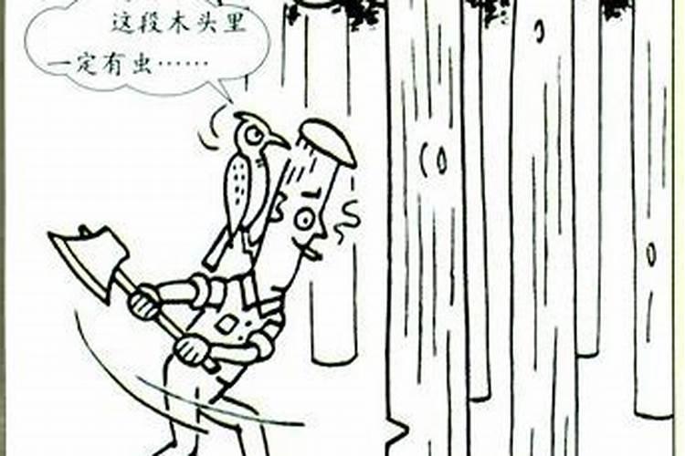 六年级的,就是一个人在砍树的那副漫画的看图作文!!【要全文】