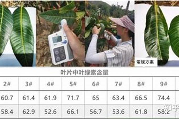 生物农药与化学农药的全方位对比