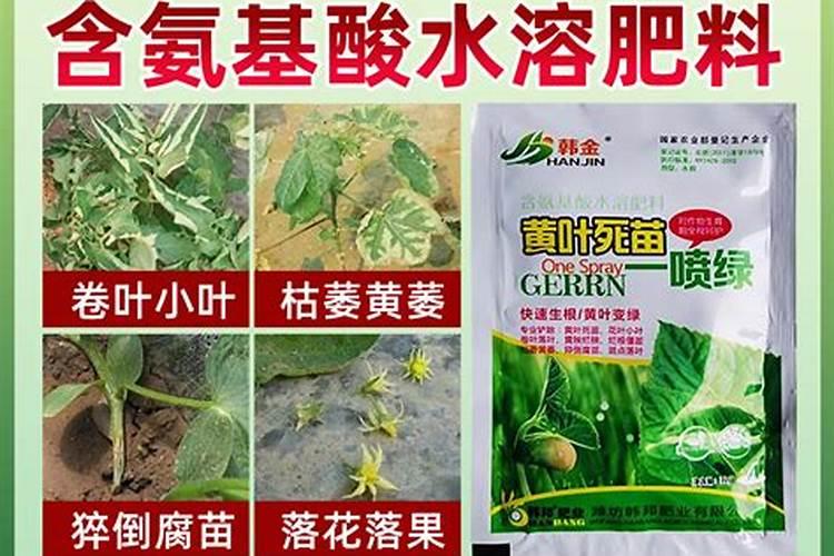 硫氨酸属于叶面肥吗还是肥料？