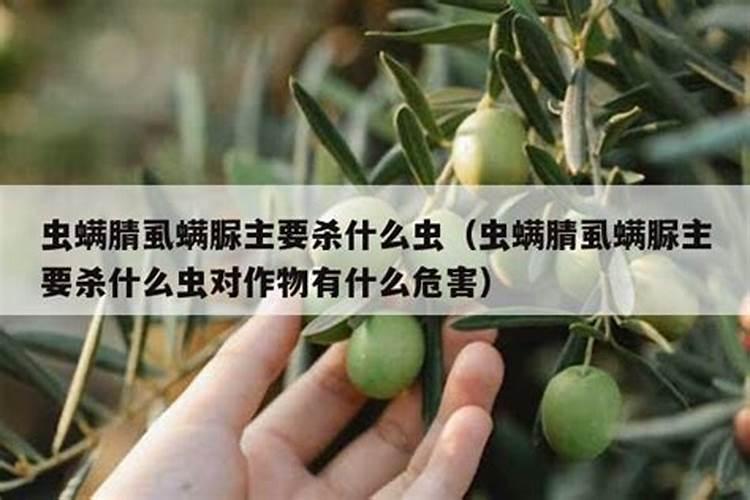 虱螨脲在什么作物上有药害？