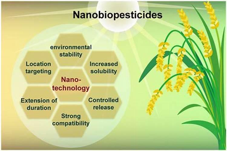 天气与生物制剂农药：四个关键因素的深度解析