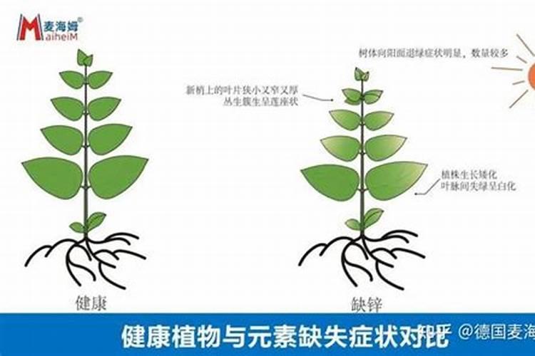 微量元素过剩的症状表现？