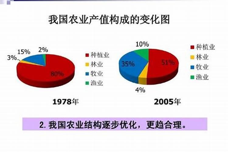 我国农业结构应如何调整