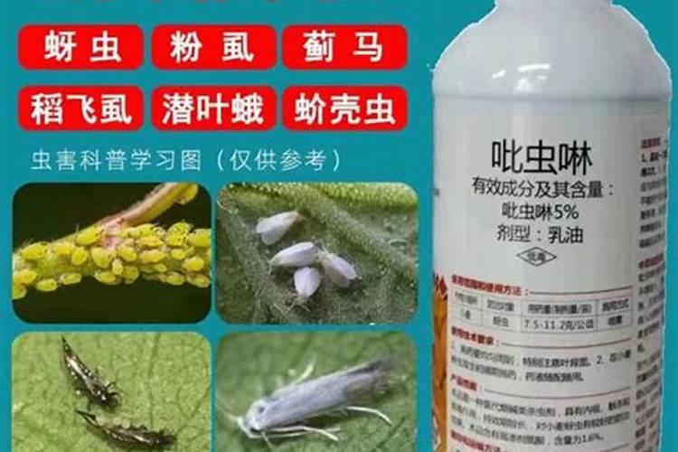 吡虫啉防治蚜虫用量解析