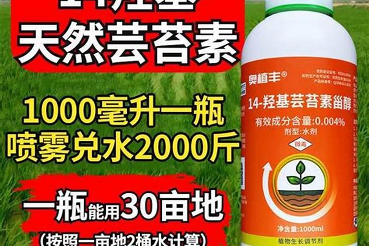 解码植物调节剂：是农药，还是农业助手？