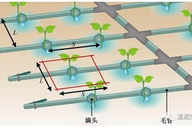 哪些肥料适合在微灌系统中使用？