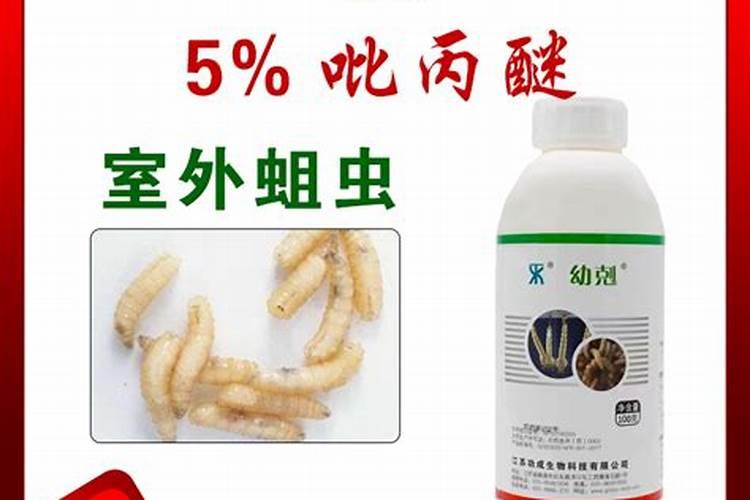 化粪池用什么药,灭蚊子。