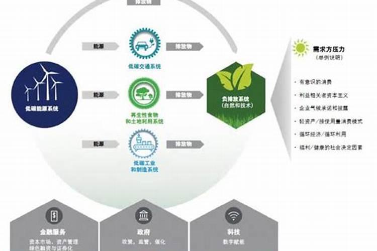 低碳用药：实现可持续发展的医疗策略