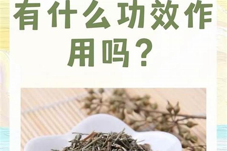 肥仔草有什么功能作用？