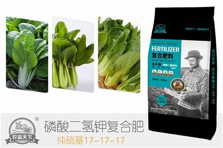 可以用绿叶宝肥料给蔬菜施吗？