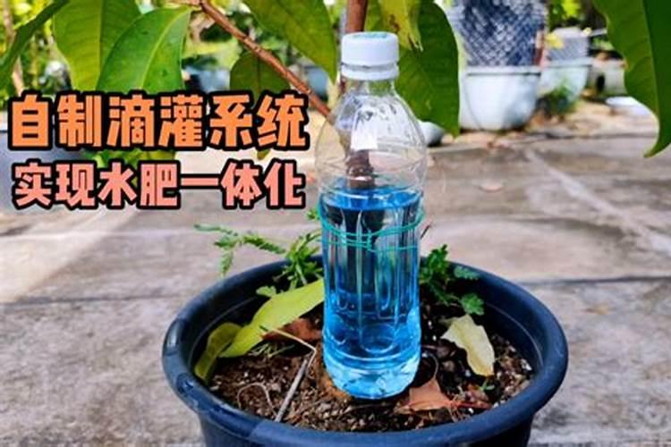 自制水肥一体化简单方法自制水肥一体化简单方法是