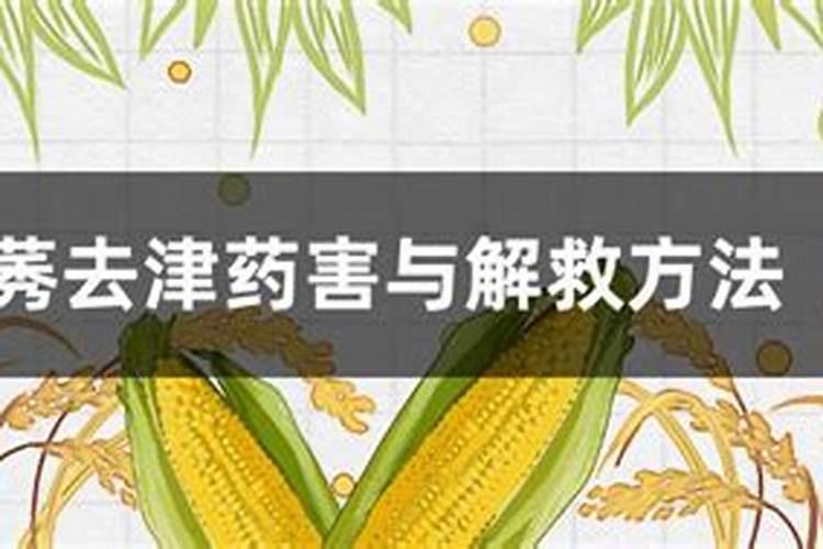 莠去津药害与解救方法