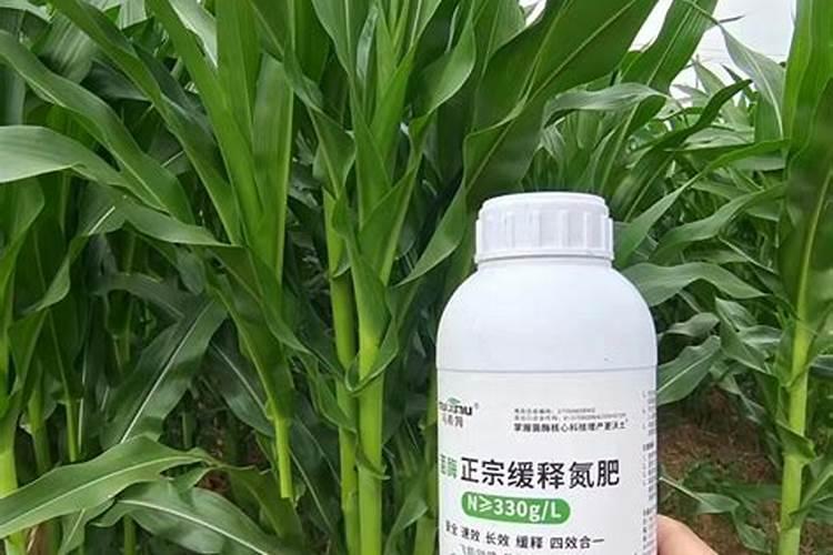 绿植氮肥买什么好用？