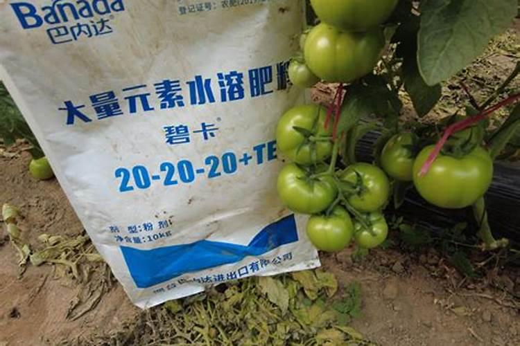 怎么选择大量元素水溶肥料使用？