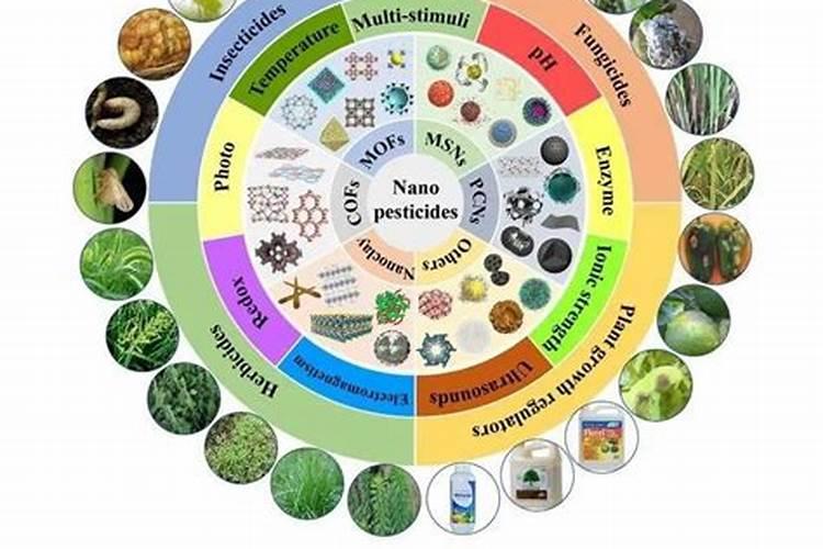 寒季农药施用的智慧：策略与技术