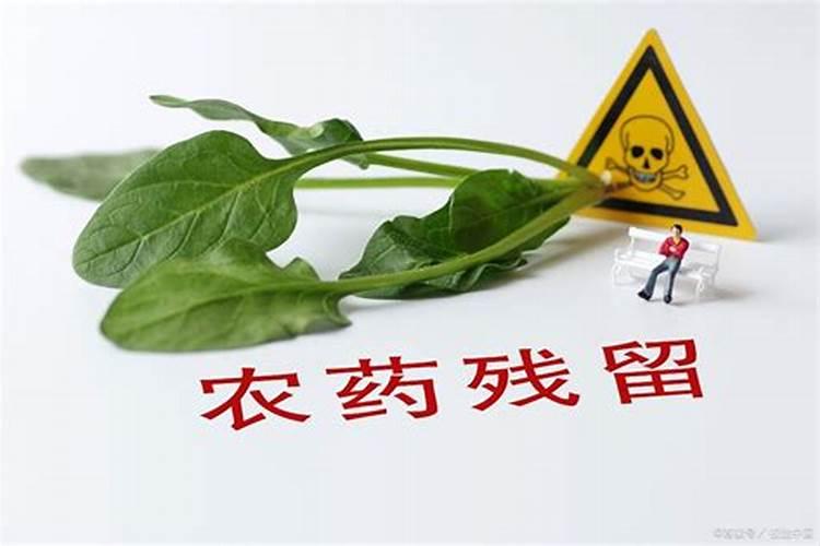 绿色守护：策略降低蔬菜种植中的农药残留