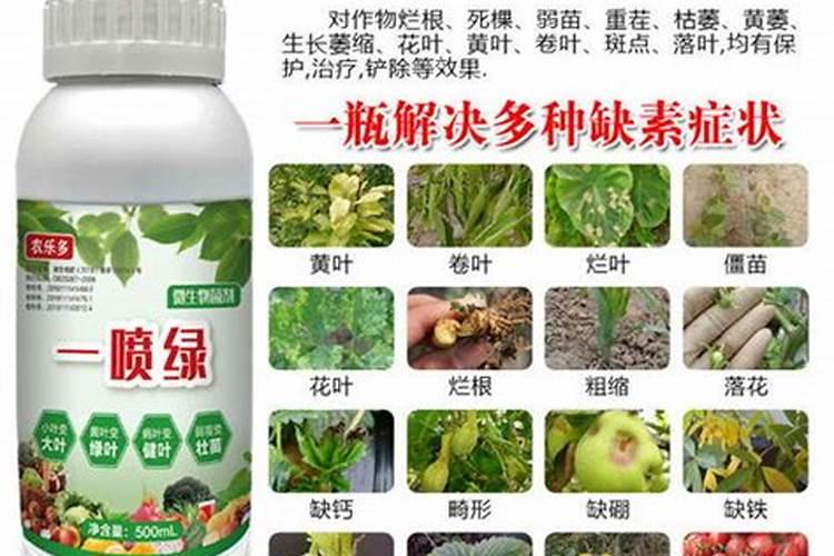 揭秘叶面肥效果的影响因素：提升植物营养的关键？