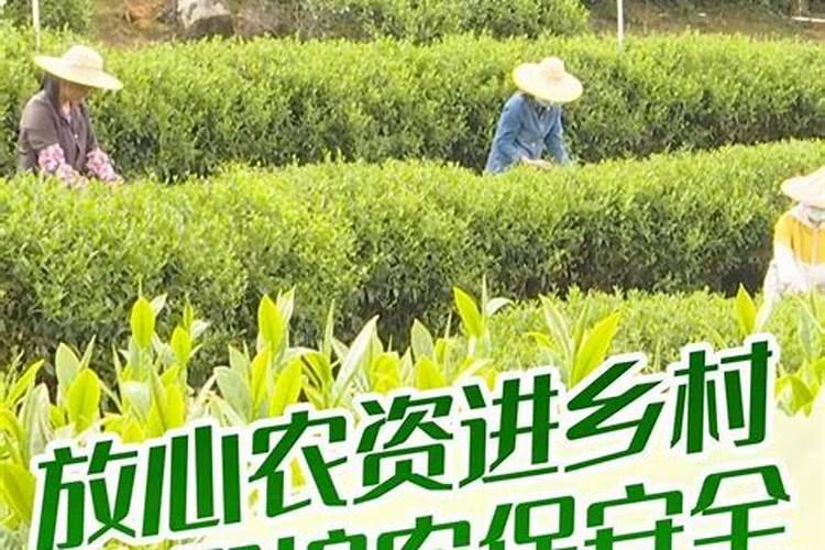 揭秘农药鉴别：保障农产品安全的关键步骤