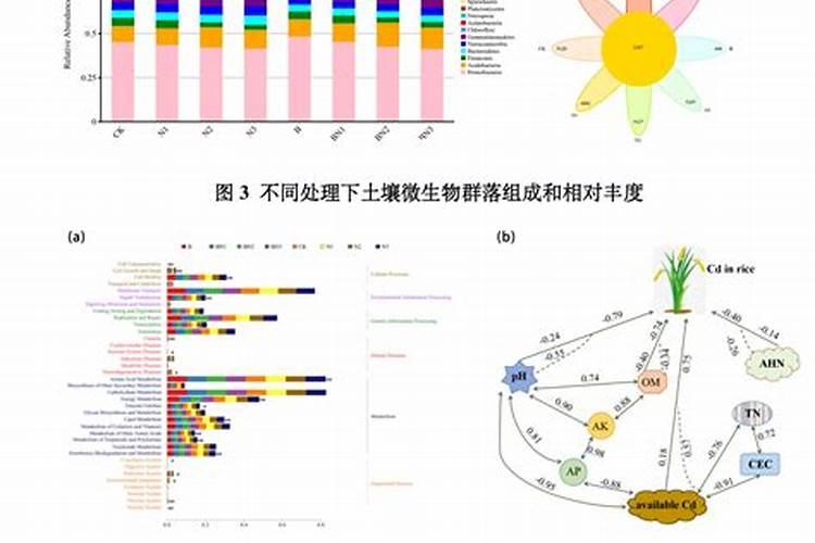 干果属于氮肥还是碳肥呢？