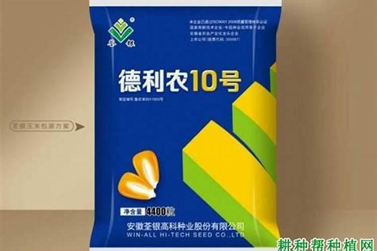 德州市德利农种业有限公司产品怎么样？