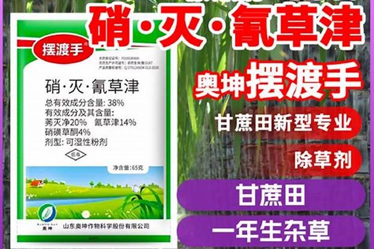 绿意盎然：正确使用氰草津确保玉米田的除草安全