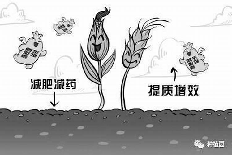 使肥料达到效果，须注意六切忌？