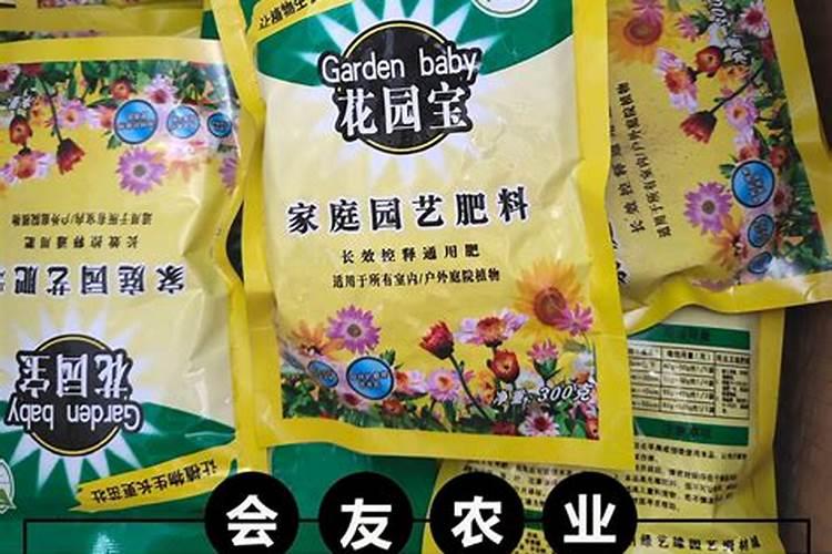 观叶植物专用肥料是什么