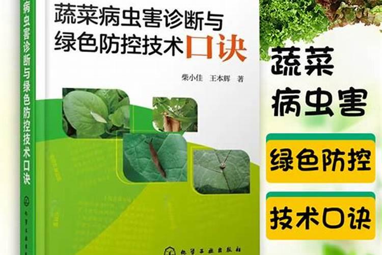 守护绿色生命：无公害蔬菜病害防治的科学路径