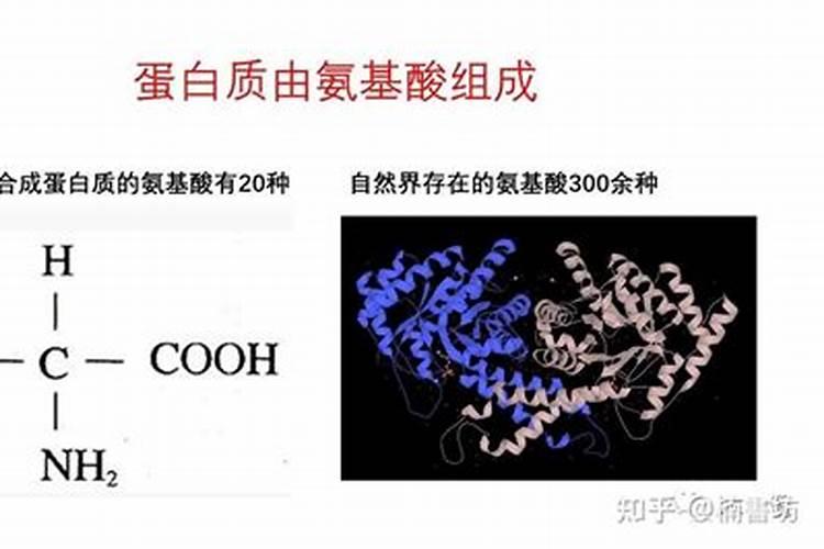 鱼蛋白胺基酸有多少种类型？