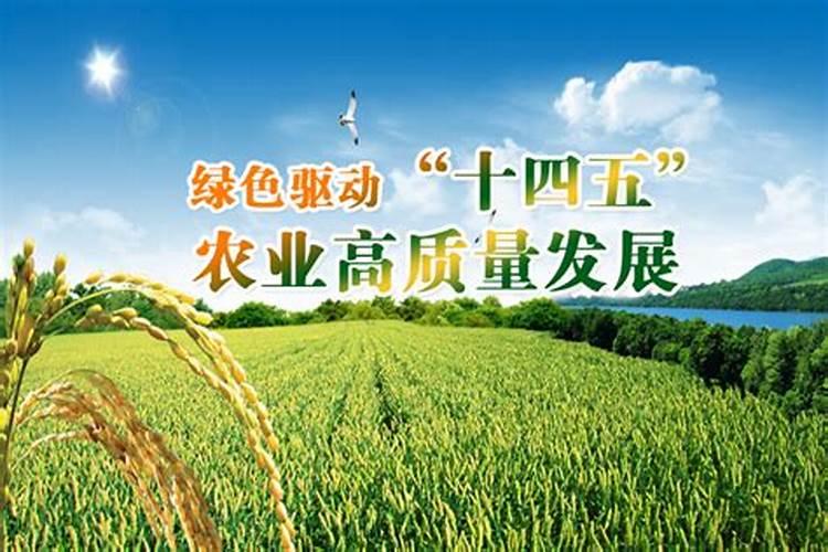 细菌生物农药：农业可持续发展的绿色守护者