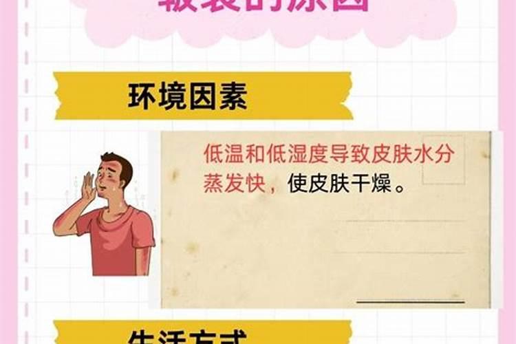 守护平菇健康：全面防治策略解析