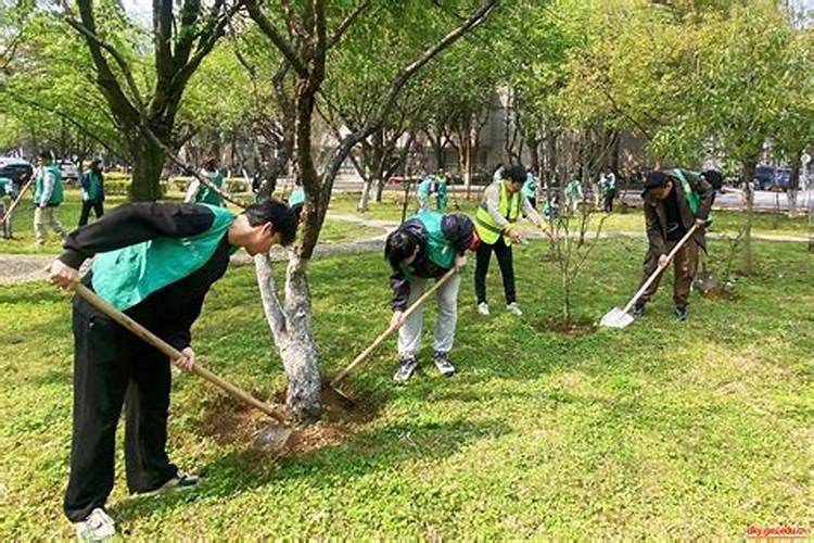 公共绿地的养护技术