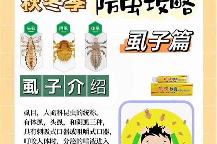 安全高效：正确使用Bt乳剂的指南