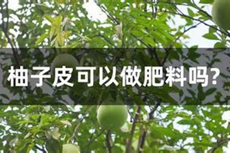 柚子皮可以做肥料吗？