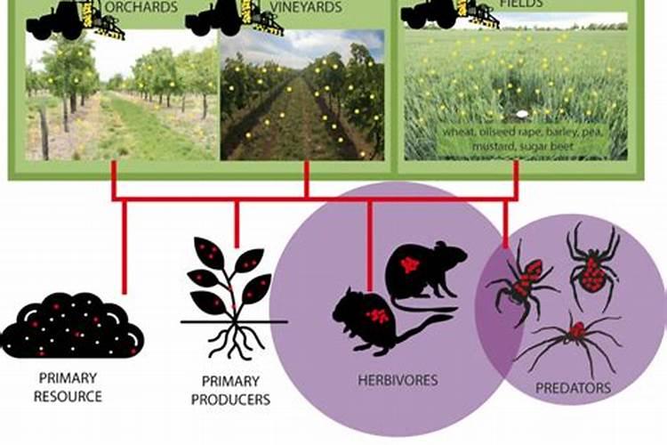 农药在生物体间怎样转移的？