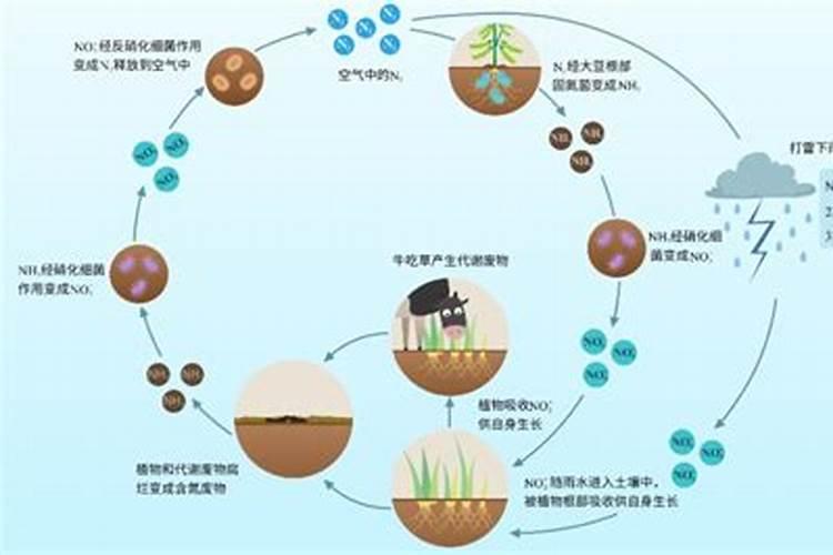 科学界氮肥的发现过程是什么样的？