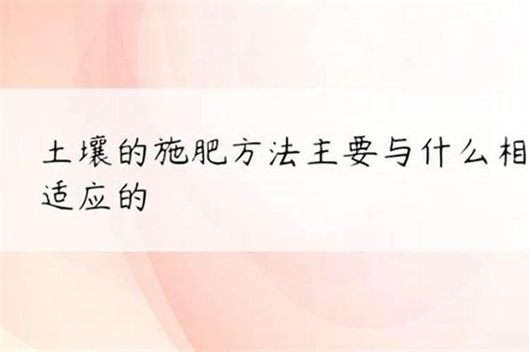 土壤的饕餮盛宴：探索常用化肥施肥方法与技巧？