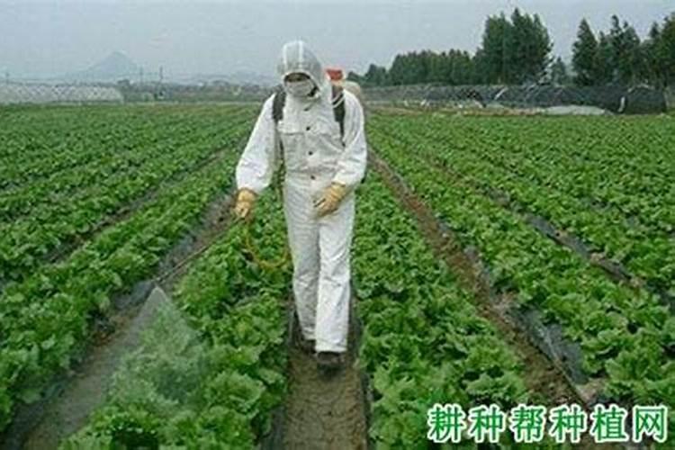 生物农药施用,要注意什么问题？