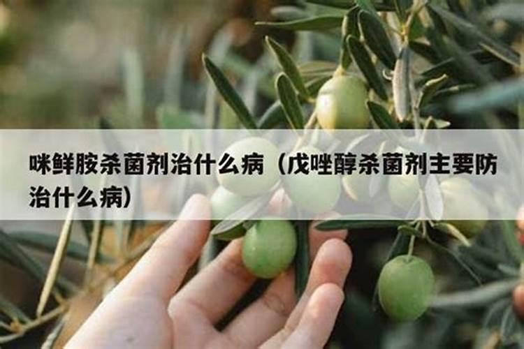 咪鲜胺有什么作用？咪鲜胺如何防治柑橘炭疽病？