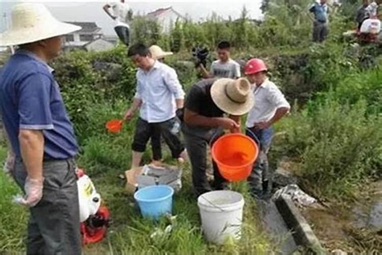 警惕！农药浸种的注意事项与风险解析