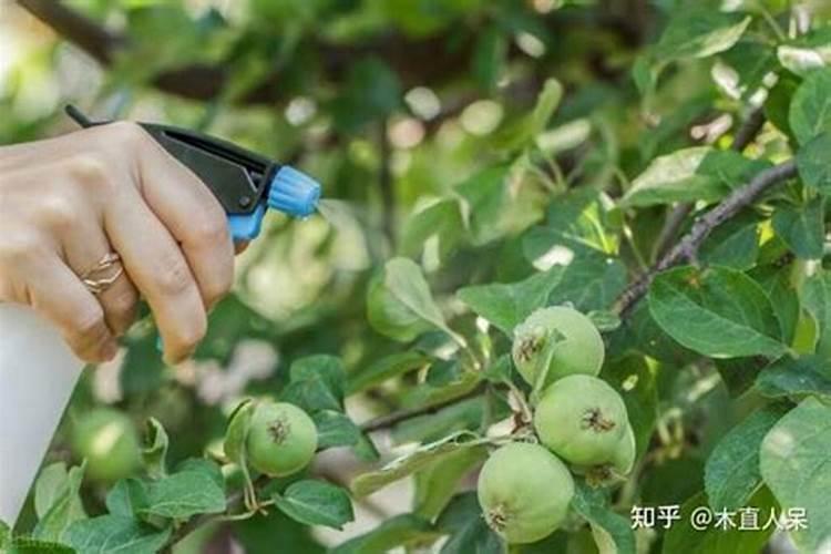 怎样避免植物病虫害产生抗药性