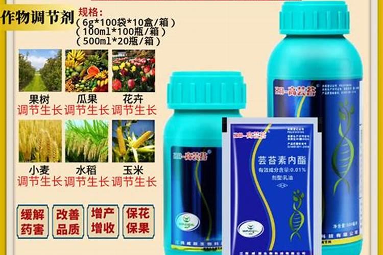 芸苔素内酯有何特点？已用于哪些作物上